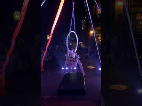Promotional video thumbnail 3 for Sara Vis Aerial