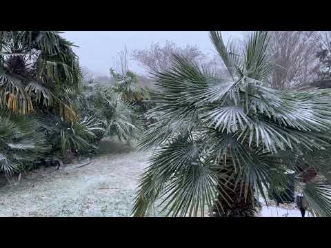 Valentines Day winter storm in Austin Texas 2021