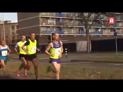 Samenvatting 20 van Alphen 2015