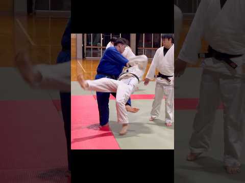 【柔道】フェイント小外掛け / Judo Throw [Kosoto gake #judo #大人柔道 #柔のたまり場 ]