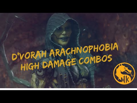 104% Damage in 20 Seconds With MK11 Arachnophobia D'Vorah! (Tournament Variation) (POST PATCH)