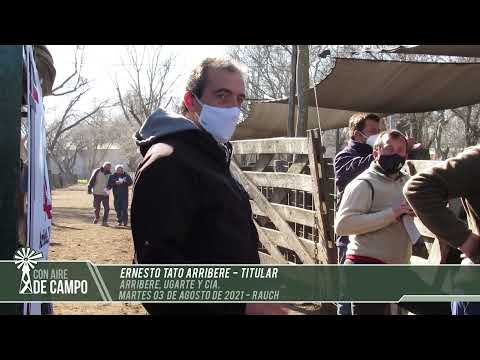 Ernesto Tato Arribere - Arribere Ugarte y Cía. - Martes 3 de agosto de 2021 - Rauch