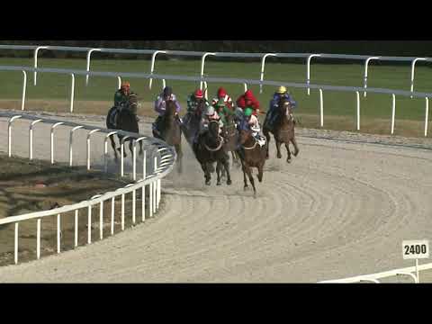 2021.10.17. 08. futam - TATA - REMETESÉGI HENDIKEP (IV.o.) (szintetikus pálya)