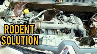 Top 5 RODENT 🐀solution for cars | 5 ways to get rid of RATS 🐁 from you car  | sansCARi sumit