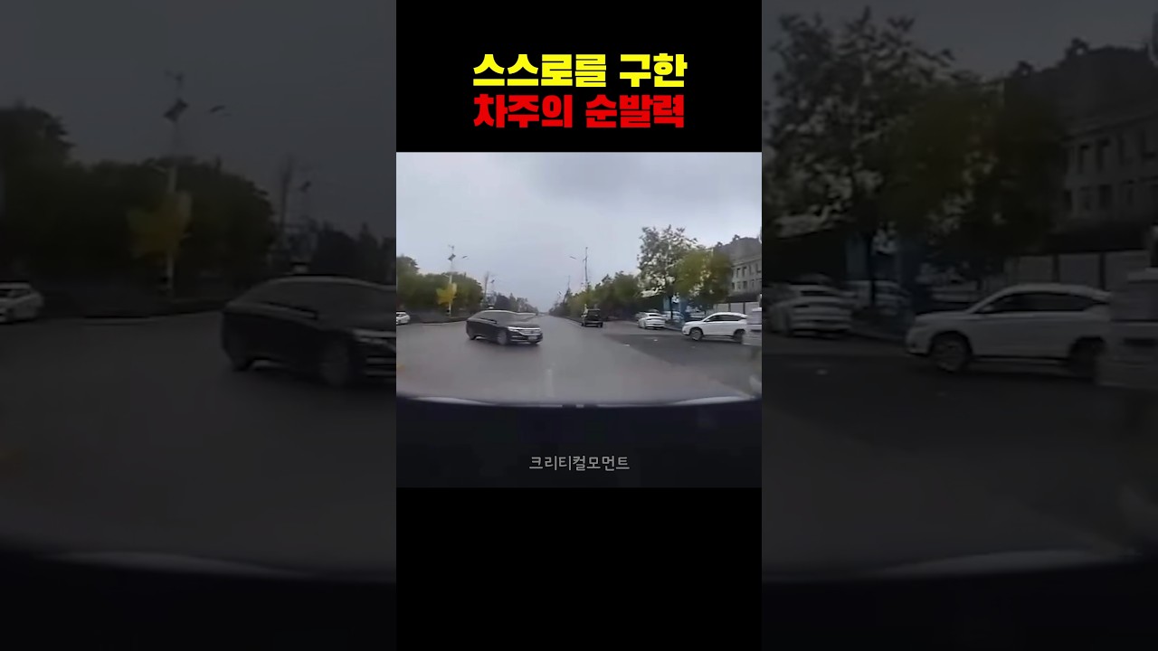 스스로를 구한 차주의 순발력