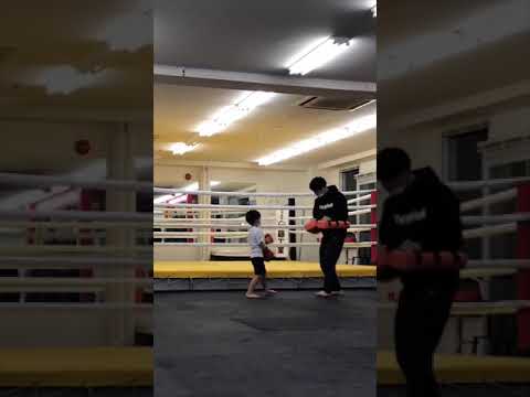 5歳児キックボクシング🥊