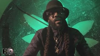 Tarrus Riley - Herbs (Sensimena) [Official Music Video HD]