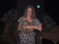 American tourist who 'snatched wombat' may have to leave Australia  #itvnews