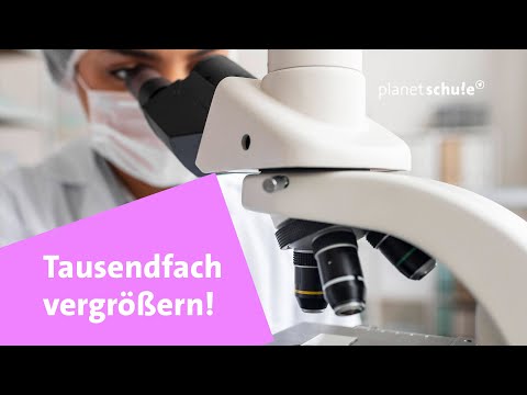 Magnified like a microscope - Tracking tiny creatures | Planet School