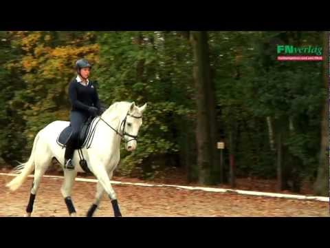 Übergänge - Grundausbildung für Reiter und Pferd