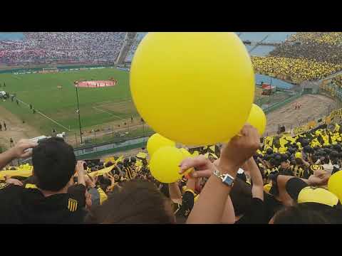 "Recibimiento de la hinchada de Peñarol Bicampeón Uruguayo" Barra: Barra Amsterdam &bull; Club: Peñarol