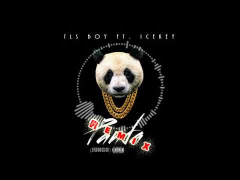 Tls-Boy ft Ice Key Panda remix (Jungo)
