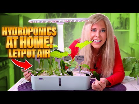 Indoor Hydroponic Gardening Beginners | Grow Lights | Letpot Lph-air Growing | Seed Starter