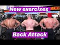 New Back Exercises