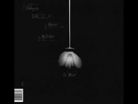 The Bug ft. Dis Fig - Take