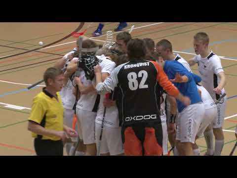 Nibacos - Blue Fox pe 26.10.2018 - Maalikooste