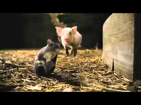 Charlotte's Web (2006) Official Trailer