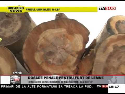 dosare penale pentru furt de lemne