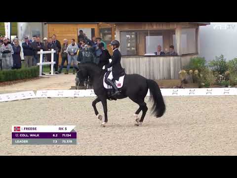 Total Hope OLD in Grand Prix with 74.146% at the European Championship