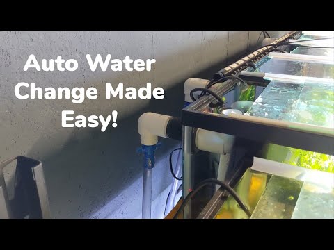 Auto Water Change Made Easy: Overflow System Set Up