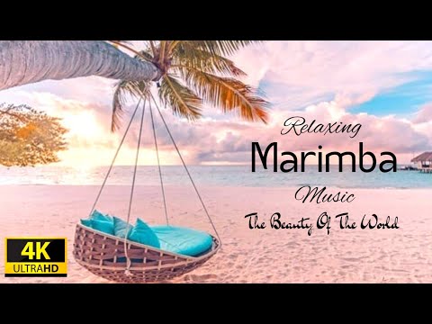 Relaxing Marimba Music with Ocean Waves Sounds🌱🌱🌱