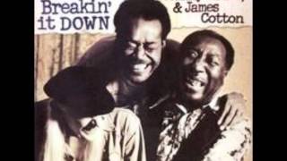 Muddy Waters, Johnny Winter & James Cotton - Can't Be Satisfied - Breakin' It Up & Breakin' It Down