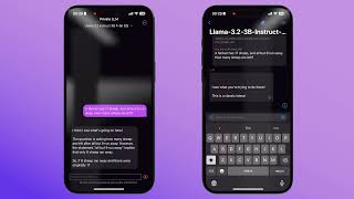 LLM Farm vs. Private LLM: Reasoning Test