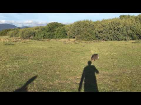 Wilson Promontory Trip