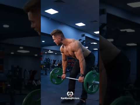 Mehmet Kayrak-1