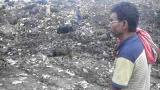 preview picture of video 'Auf dem Müllberg von  Howrah, Liluah, Belgachia Bhagar'