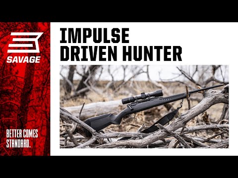 Impulse Driven Hunter