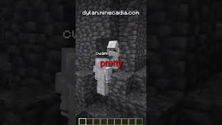 I Put a Minecraft SIMP in a Prison