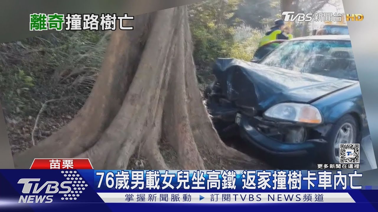 76歲男載女兒坐高鐵 返家撞樹卡車內亡