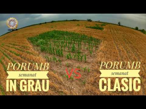 retete de legume pentru slabit pierde o greutate