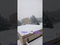 Snow 2021 Brno Czech Republic