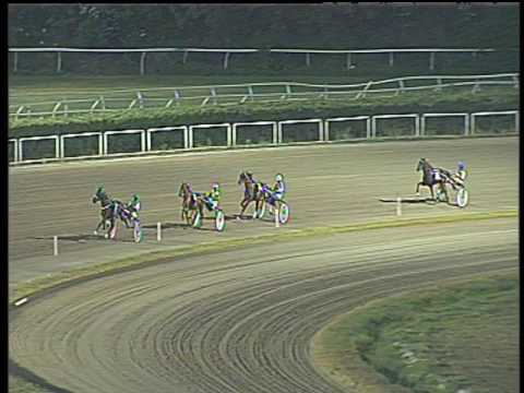 Trotto 08/07/2017 - 6ª prova di qualifica