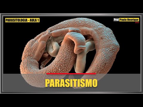 Szubkután paraziták diagnosztikája