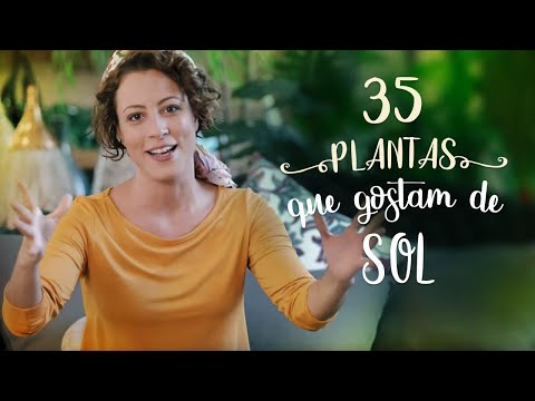 , title : '35 PLANTAS que AMAM SOL (boas para CALOR e FRIO)'