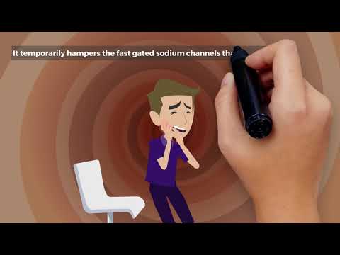 Lignocaine Oral Topical Solution, Packaging Type: Pet Bottle, Packaging Size: 100ml