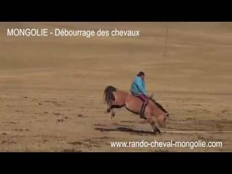 , title : 'MONGOLIE - Dressage d'un cheval par les nomades - Une vidéo RANDO CHEVAL, agence de voyage équestre'