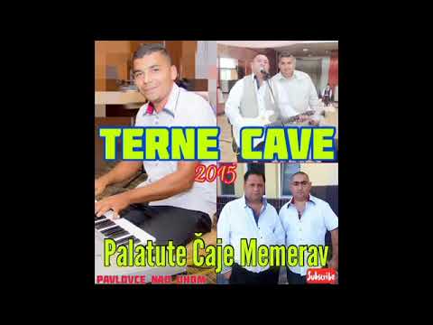 PAVLOVCE TERNE CAVE 53 - PALATUTE CAJE ME MERAV   2015