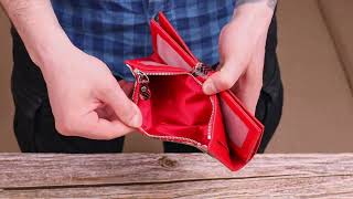 Функціональний жіночий гаманець з натуральної шкіри з тисненням під змію Canpellini 21638 різнокольоровий