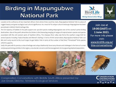 Conservation Conversations: Joe Grosel - Birding in Mapungubwe National Park (1 June 2021)