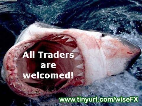 Why 95% of Forex Traders Lose Money! (COMPLETE VIDEO)