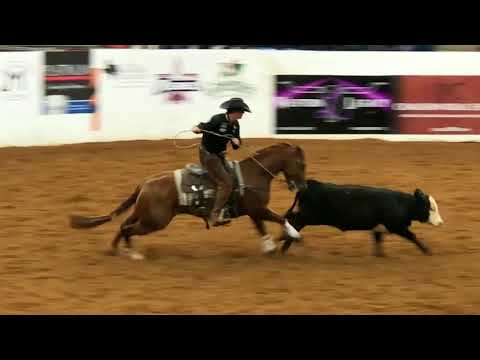 2019 NRCHA World's Greatest Horseman Finalists Runs