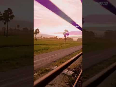 morning horizon view 🤍🤗🌼🎼✨ @Unparalleled_quotes #shorts #love #nature #falaktakchal