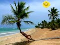 Sommer Sonne Sonnenschein