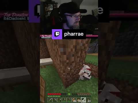 When Your Dog Doesn't Obey  | pharrae on #Twitch