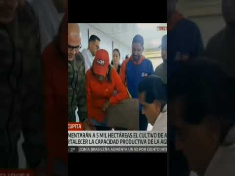 En el estado Delta Amacuro, Autoridades Nacionales inspeccionaron tres complejos agroindustriales