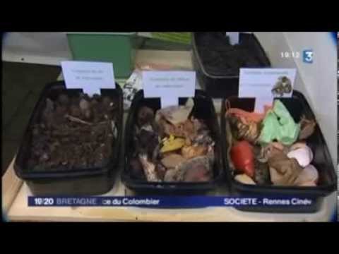La réduction des déchets en Pays d'Iroise - Extrait du 19/20 Bretagne sur France 3